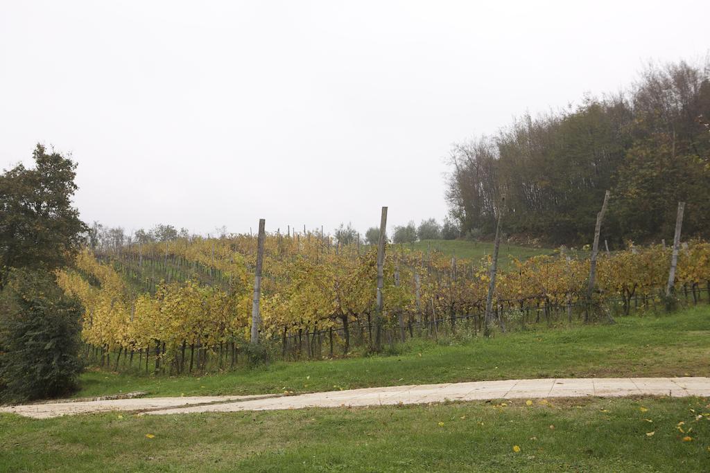 Agriturismo Marani Arcugnano Εξωτερικό φωτογραφία