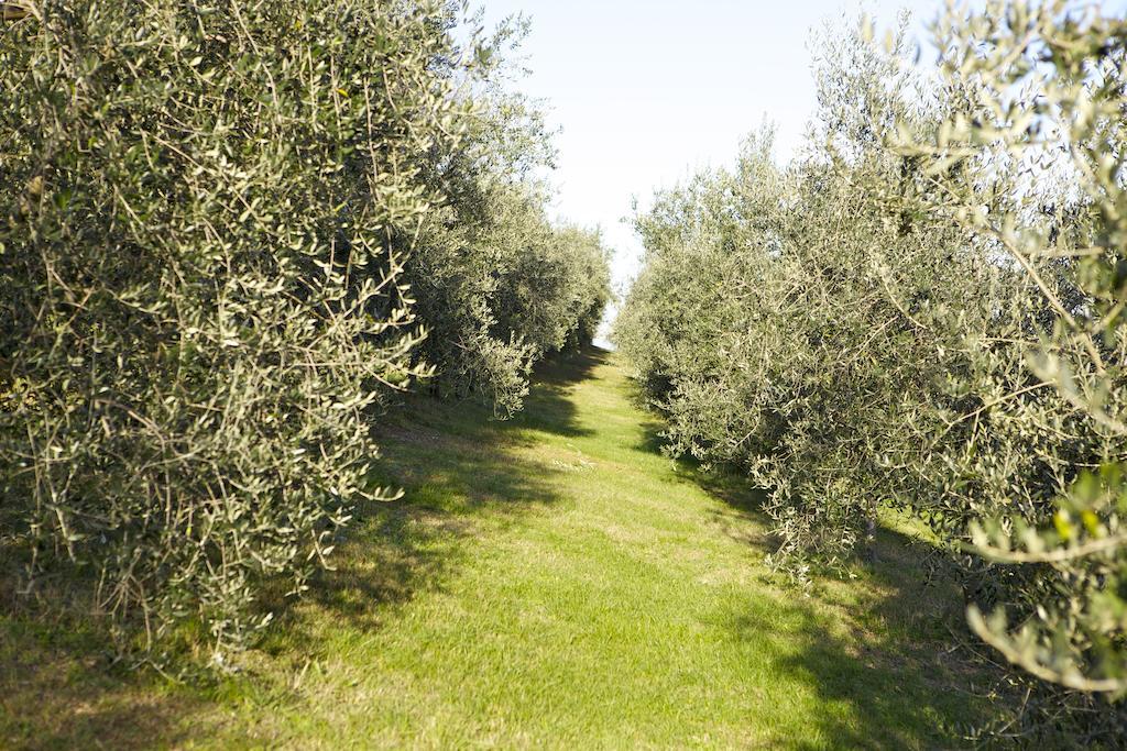 Agriturismo Marani Arcugnano Εξωτερικό φωτογραφία